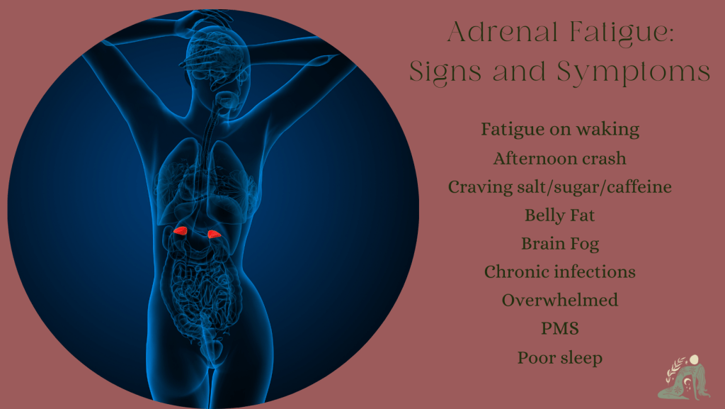 RESTORE BALANCED ADRENAL FUNCTION - REDUCE STRESS & IMPROVE ENERGY LEVELS 1 Adrenal Fatigue Signs and Symptoms Facebook Cover