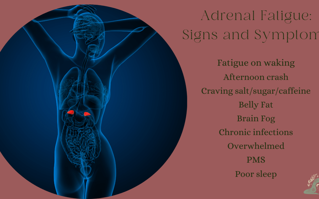 RESTORE BALANCED ADRENAL FUNCTION – REDUCE STRESS & IMPROVE ENERGY LEVELS