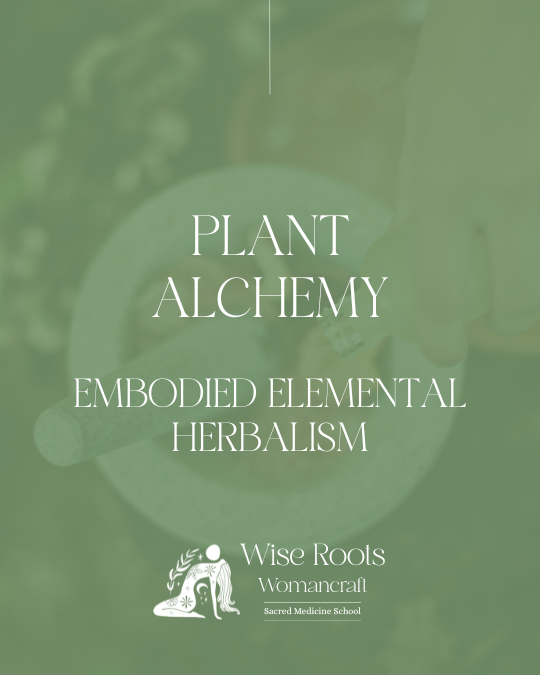 COURSE TILES (16) COURSE TILES 16