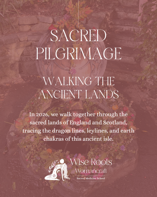 Courses & Events 4 COURSE TILES 6