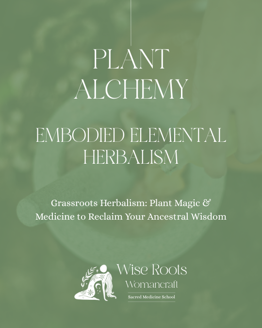 Courses & Events 2 COURSE TILES 7