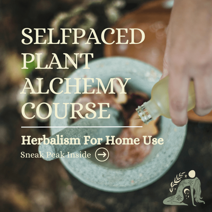 Courses & Events 1 Copy of Kitchen Witch Course Unit Tiles 16