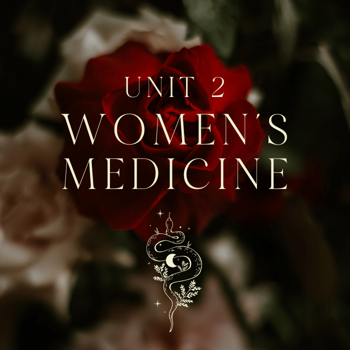 Plant Alchemy 3 Copy of Kitchen Witch Course Unit Tiles 3