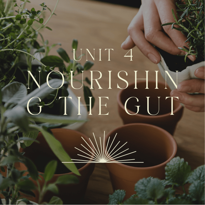 Plant Alchemy 5 Copy of Kitchen Witch Course Unit Tiles 5