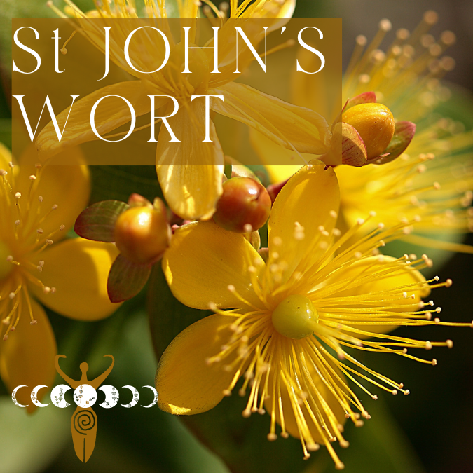 Copy of Medicine Woman Instagram Post Instagram Story Instagram Post Square 4