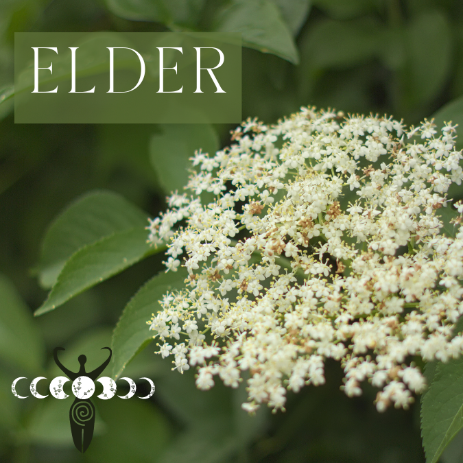 Copy of Medicine Woman Instagram Post Instagram Story Instagram Post Square 6