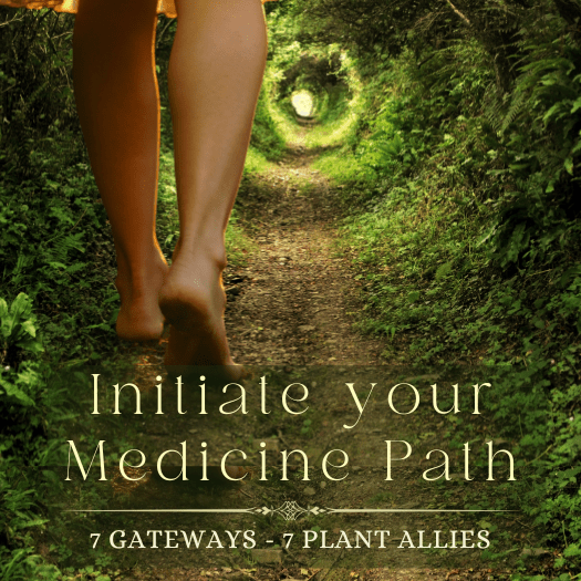 Courses & Events 4 Copy of Roots of Remembrance 18