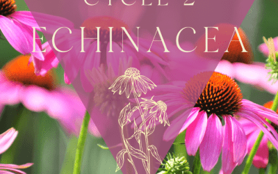 Autumn Awakening: Healing with the Metal Element, Echinacea, and the Throat Chakra