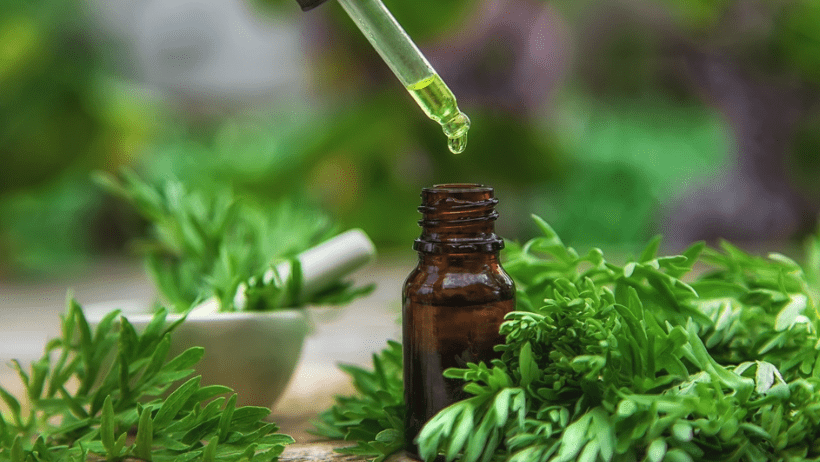 Mumma Mugwort ~ Gateway to Lunar Conciousness & Ancestral Wisdom 3 Copy of Roots of Remembrance Facebook Cover 11