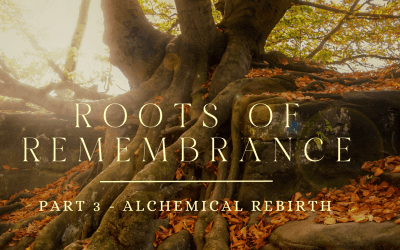 ROOTS OF REMEMBRANCE – THE JOURNEY HOME WITH THE PLANT SPIRITS – PART 3 – ALCHEMICAL REBIRTH