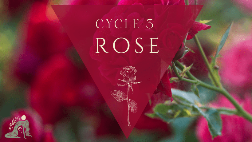 Copy of Roots of Remembrance Facebook Cover