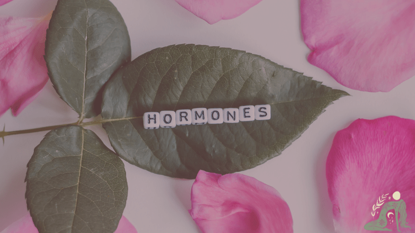Hormone Balance Healthy menstrual cycle Facebook Cover 3