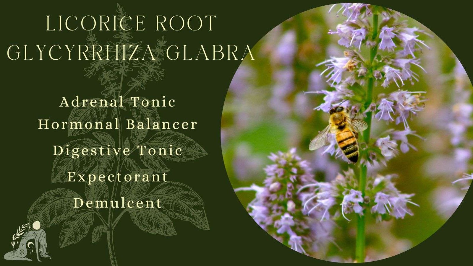 Cyclical Seasonal Wisdom - Late Summer - Earth Element 7 Kitchen Witch FB Templates Facebook Cover 10