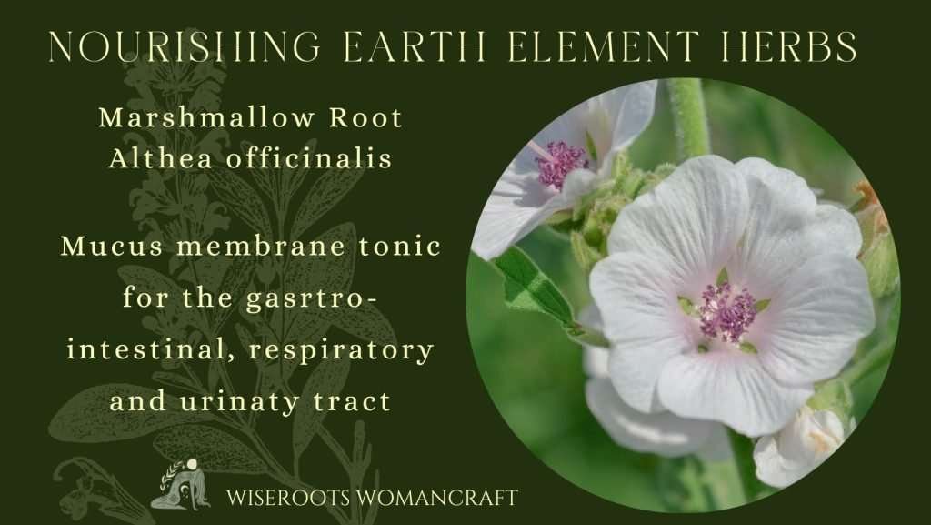 Cyclical Seasonal Wisdom - Late Summer - Earth Element 5 Kitchen Witch FB Templates Facebook Cover 11