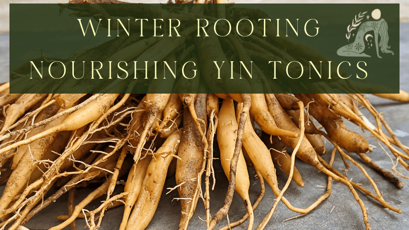 Kidney Essence and Women's Hormonal Wellbeing 7 MUGWORT MYTH MAGIC MEDICINE Facebook Cover