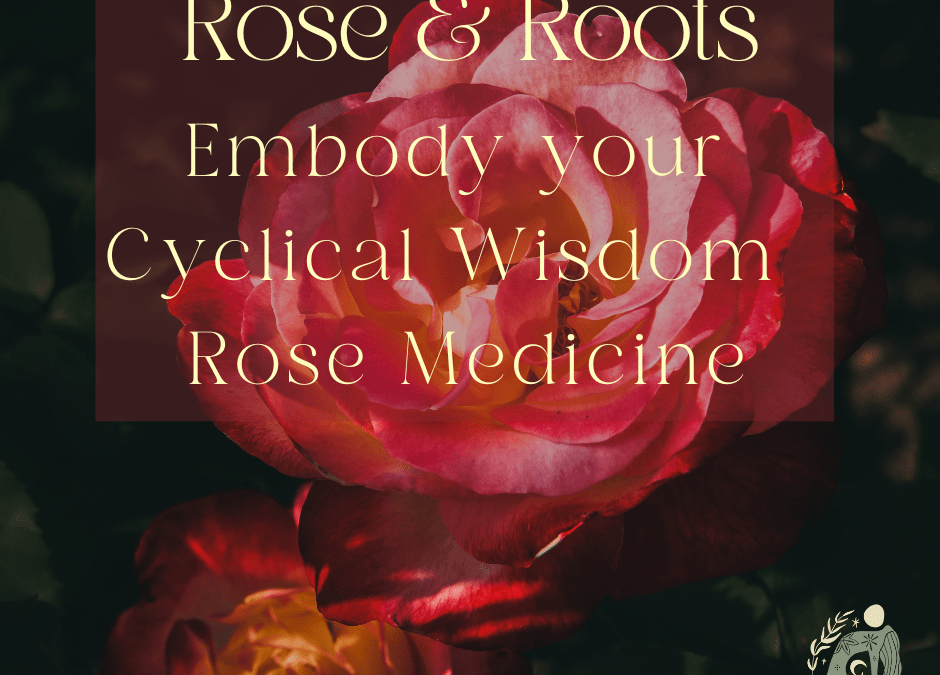 Reclaiming the Power of Your Cycle: A Journey through Cyclical Awareness, Plant Wisdom, and Deep Nourishment 🌙