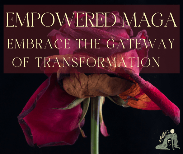 Courses & Events 6 Rose Medicine 6