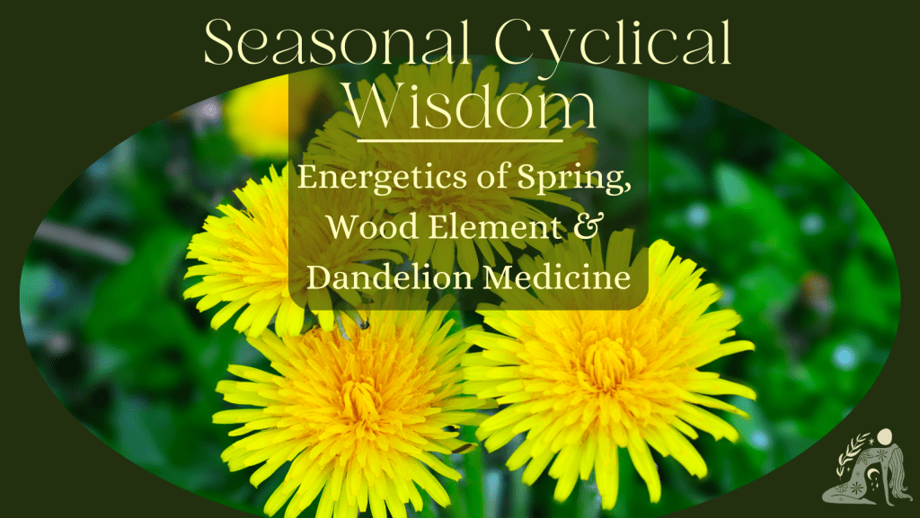 Spring series Wood Element Facebook Cover 2