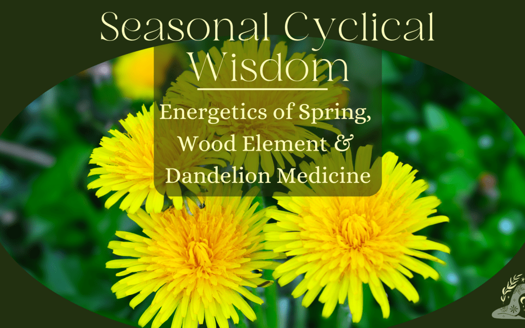 SEASONAL CYCLICAL WISDOM – Spring, Wood element & dandelion medicine