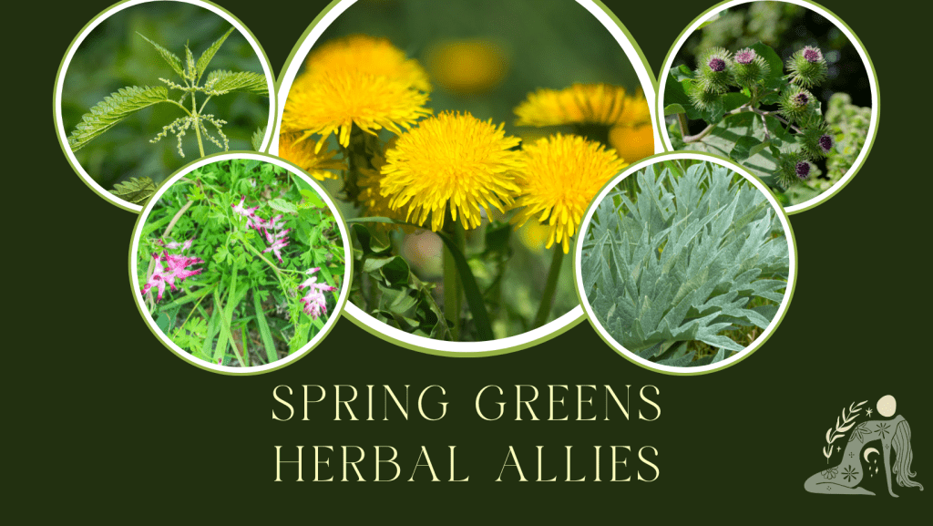 Spring series Wood Element Facebook Cover 7