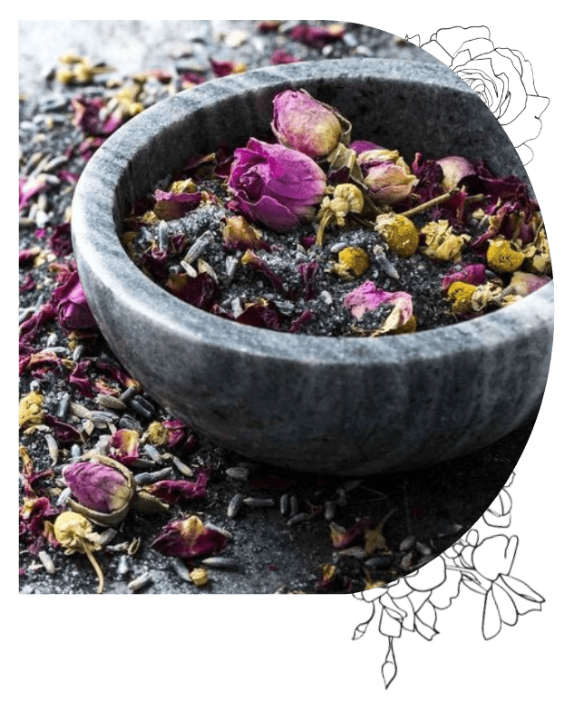 Untitled design(2) copy 4 Untitled design2 copy 4 2