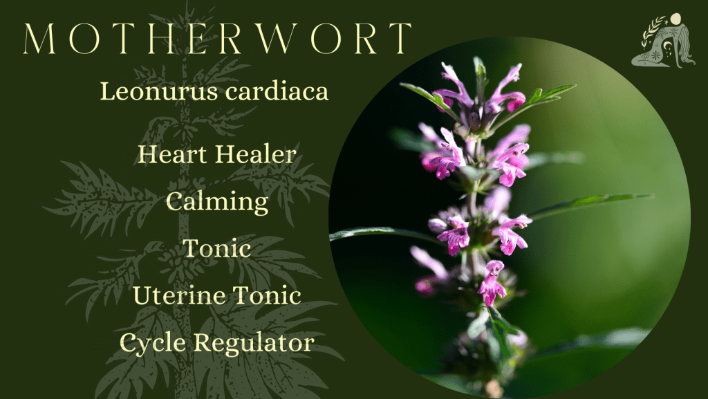 Wisdom Tree WomanCraft 14