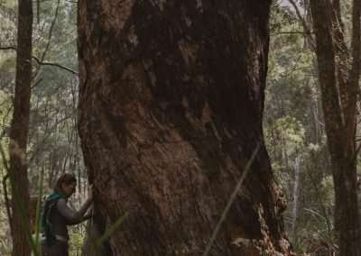 medicinewomanretreat563of570 2