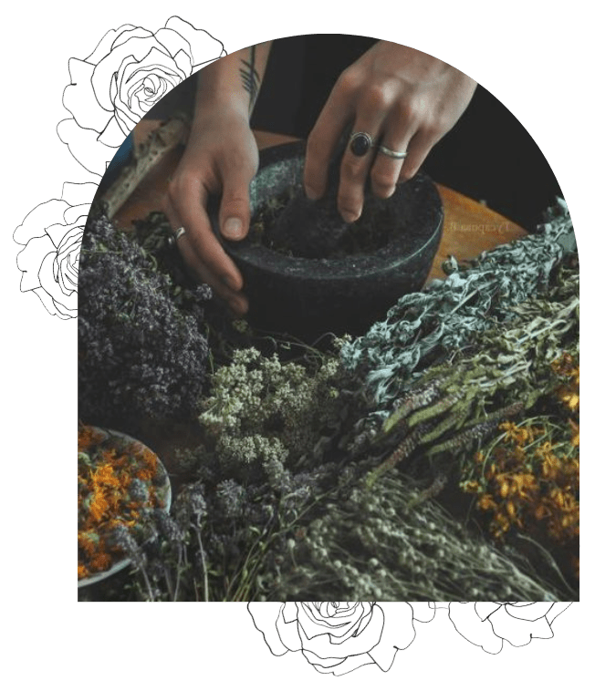 naturopathy-herbs naturopathy herbs